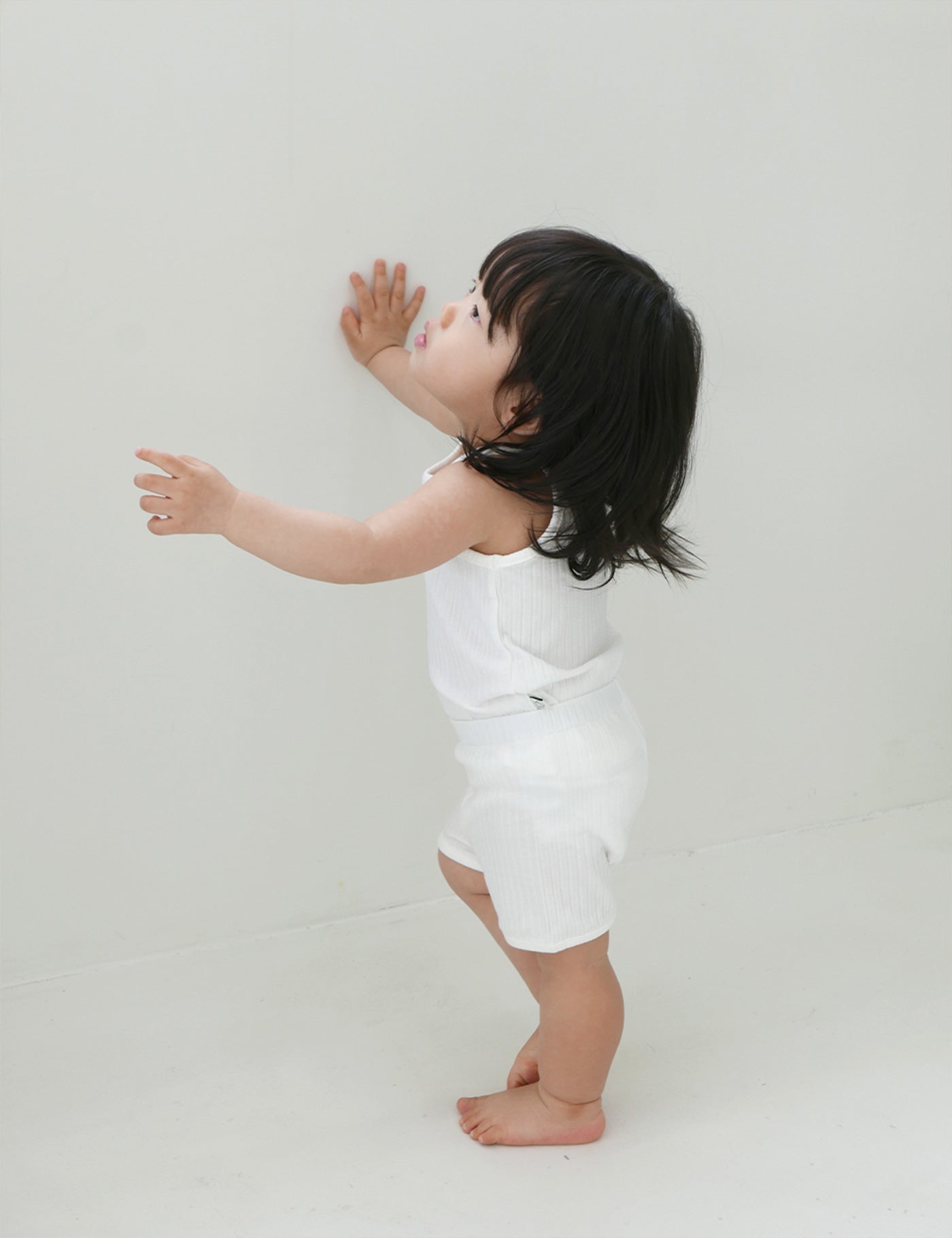コモドコルトセット - パンナ